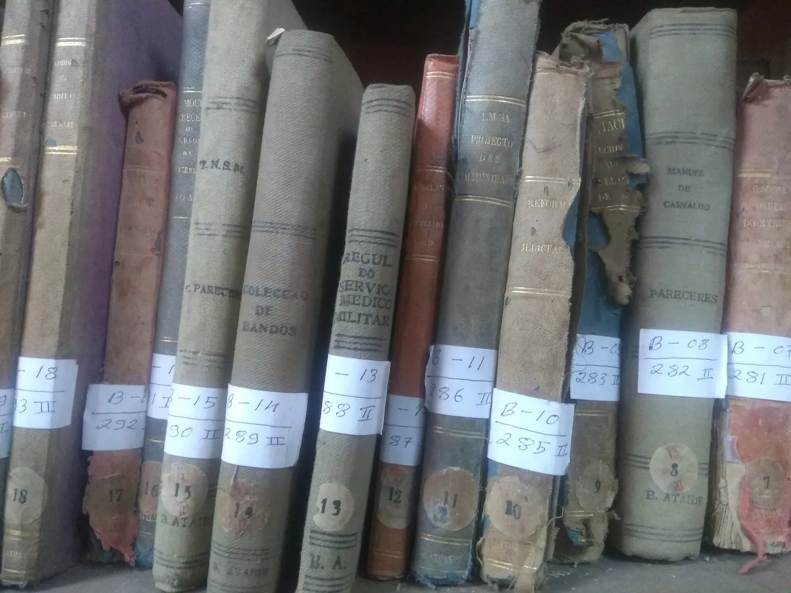 Scaffali di una biblioteca pubblica con volumi rilegati